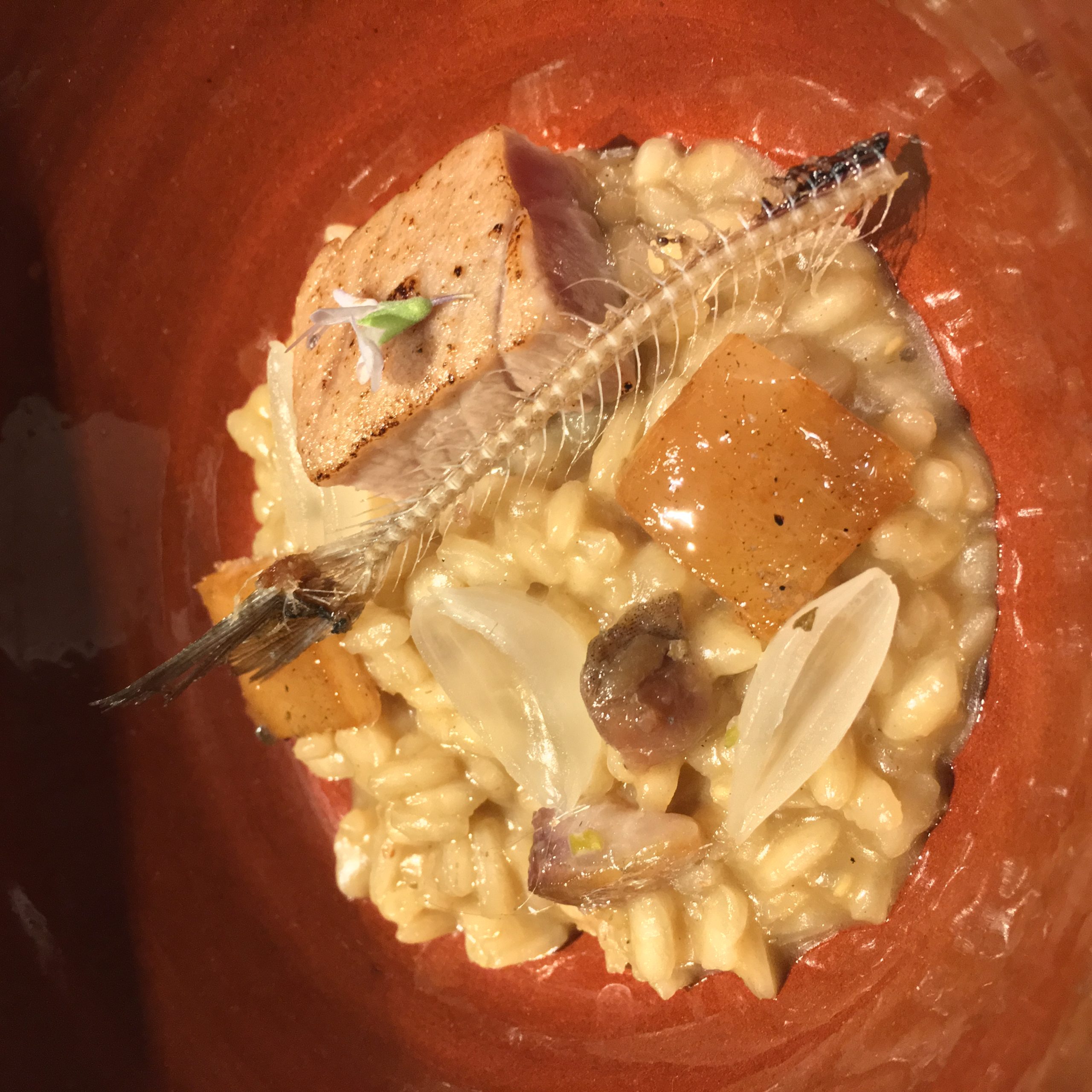 abac-larros-de-garum-caldo-fermentado-pescados-azules-salazon-y-hierbas-mediterraneas