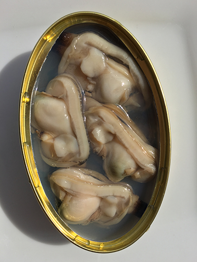 almejas-dardo-7-piezas-rva-2014