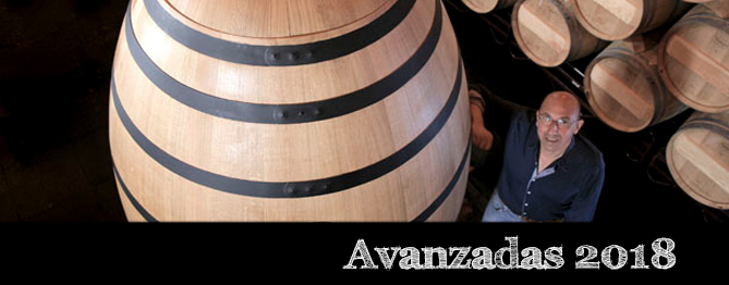 Toro 2018 por Marcos Eguren