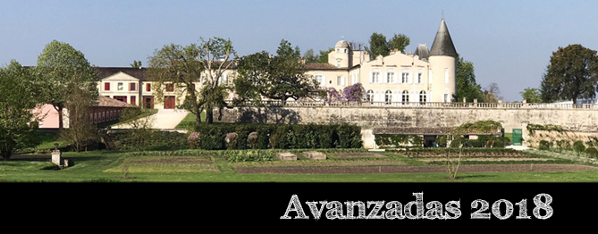 Pauillac 2018 por Château Lafite-Rothschild