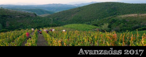 Côtes du Roussillon 2017 por Hervé Bizeul