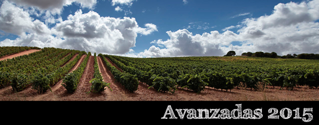 Rioja 2015 por Marcos Eguren