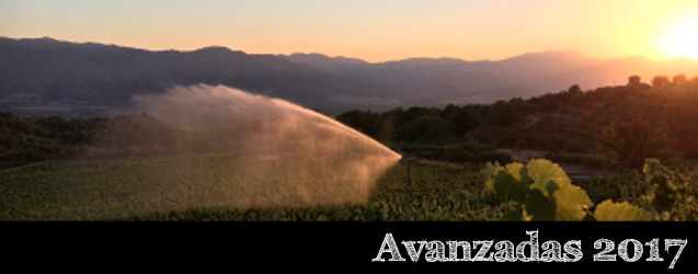 Toscana y Sicilia 2017 por Andrea Franchetti