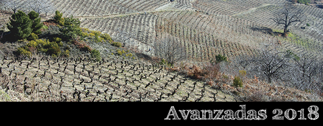 Añada 2018 en Corullón, Bierzo por Ricardo P. Palacios