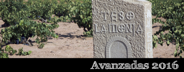 Toro 2016 por Marcos Eguren