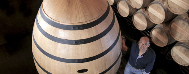 Toro 2014 por Marcos Eguren