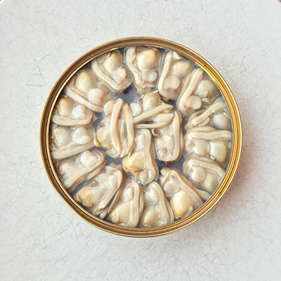 la-brujula-almejas-33_37