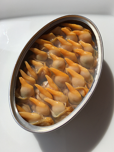 la-brujula-berberchos-25_30