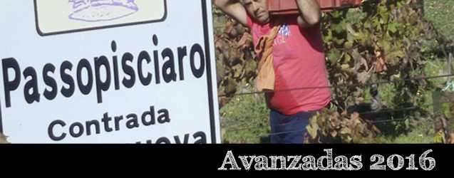 Passopisciaro 2016 por Andrea Franchetti