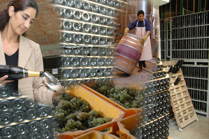 profesionalesdelvino