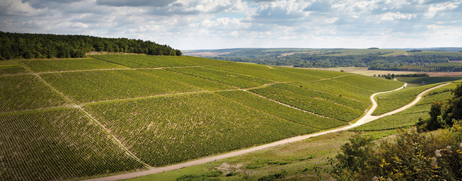 Preventa Bourgogne 2017