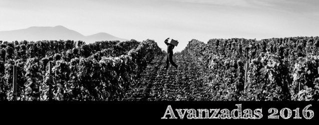 Añada 2016 en Alfaro, Rioja Oriental por Alvaro Palacios