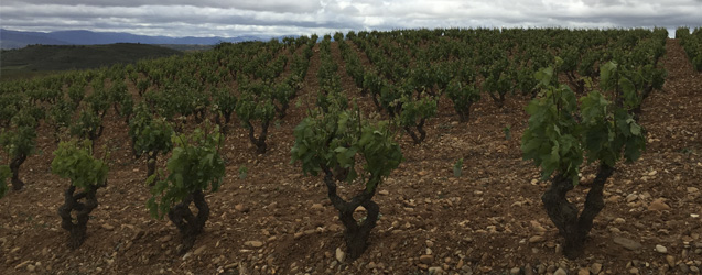 La Rioja 2014 por Marcos Eguren