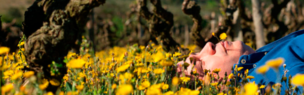 Côtes du Roussillon 2013 por Hervé Bizeul