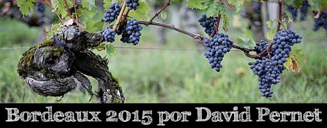 La añada 2016, ¡Bordeaux siempre puede tener una gran añada!