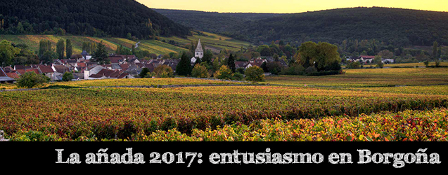 La añada 2017: entusiasmo en Bourgogne