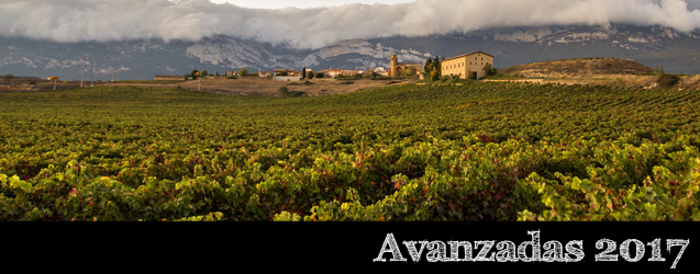 Toro 2017 por Marcos Eguren