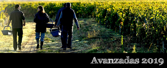 Bordeaux 2019 por Laurence Geny y Axel Marchal 