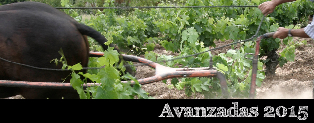 Bierzo 2015 por Ricardo P. Palacios