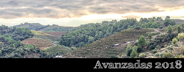 Añada 2018 en Gratallops, Priorat por Álvaro Palacios