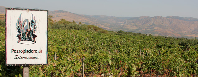 Passopisciaro 2014 por Andrea Franchetti