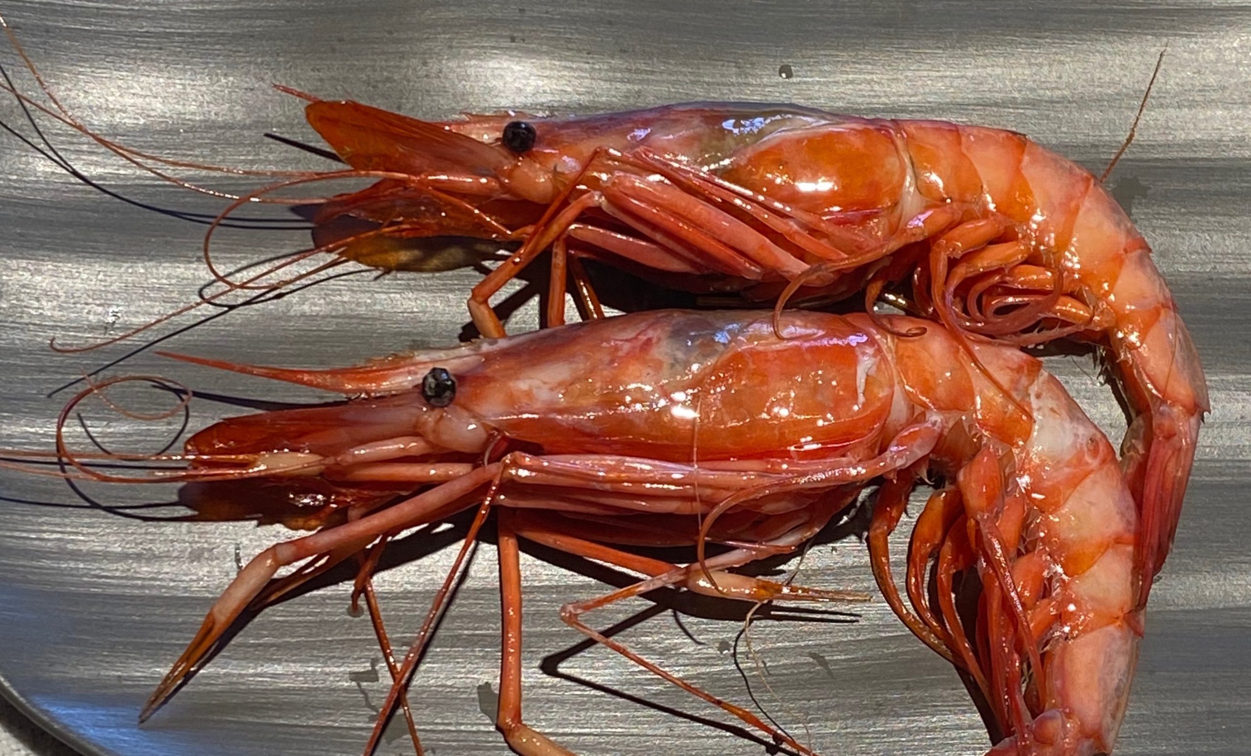 Lo mejor de 2020. Del mar. Grandes momentos en restaurantes y casas de comida (I)