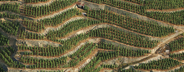 Rhône 2014 por Michel Tardieu