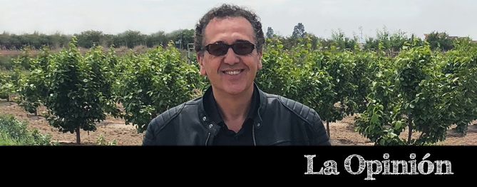 Internet, la web y el mercado del vino en España