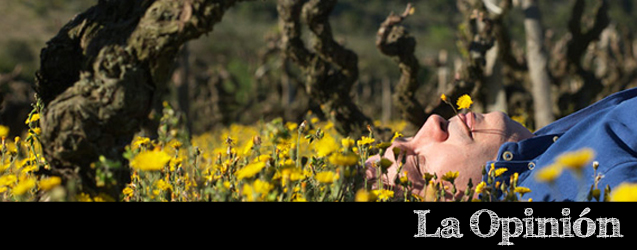 ¿Elaborar vino es un acto artístico?