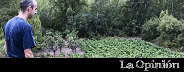 Burdeos: Saber hacer y vinos de calidad