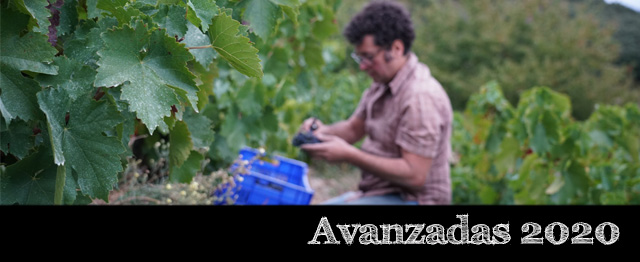 Añada 2020 en Corullón (Bierzo) por Ricardo P. Palacios