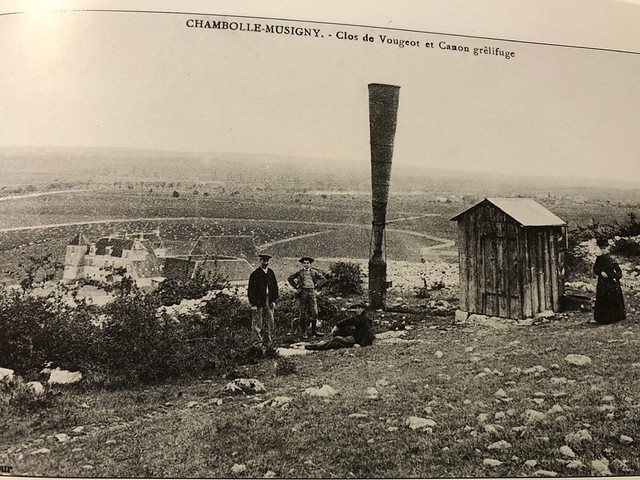 Blog Juancho Asenjo - El vino de Borgoña en el largo siglo XIX