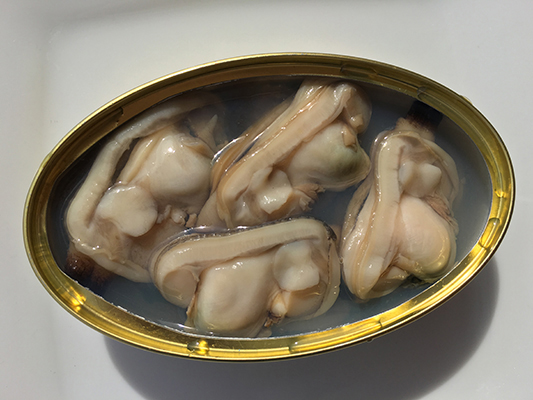 almejas-dardo-7-piezas-rva-2014