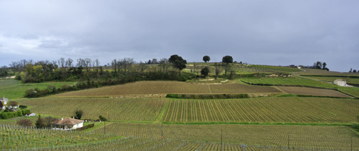 Bordeus 2015 per Bordeaux Vins Sélection