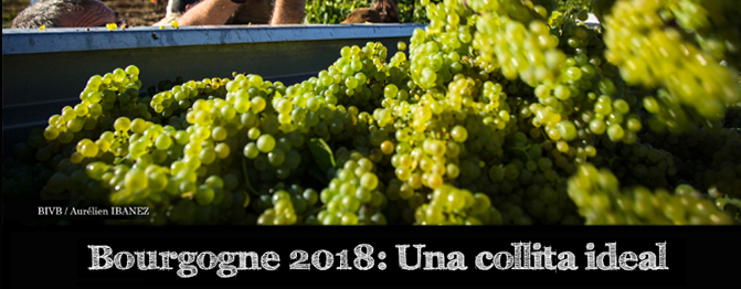 Bourgogne 2018 pel BIVB