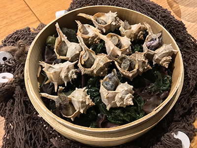 estimar-punxes-de-mar