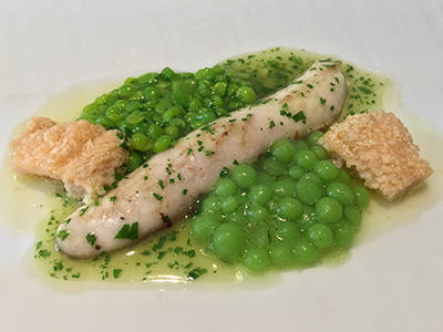 foto-25-2-16-15-40-22