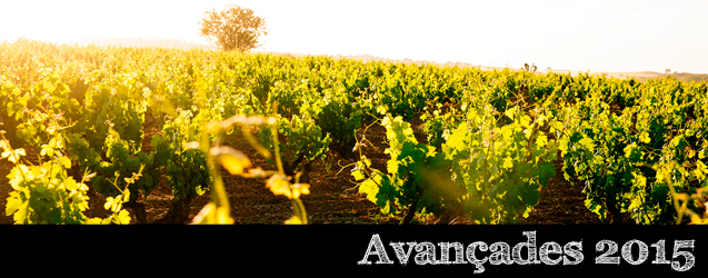 Ribera del Duero 2015 per Peter Sisseck