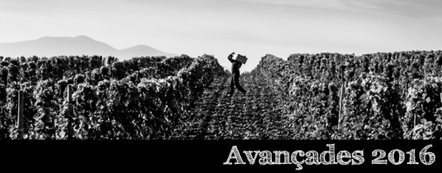 L'anyada 2016 a Alfaro, Rioja Oriental per Alvaro Palacios