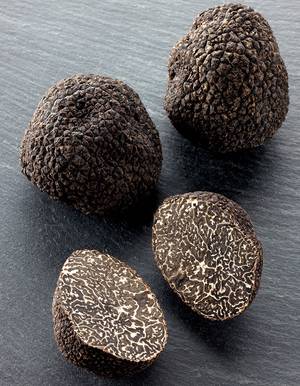 truffe_noire