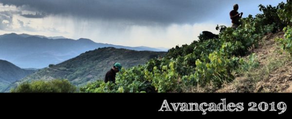 El Bierzo 2019 per Ricardo P. Palacios