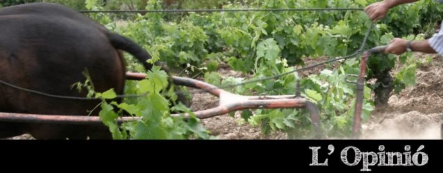 Bierzo 2015 per Ricardo P. Palacios