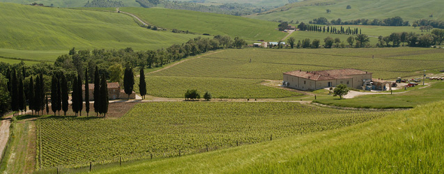 Tenuta di Trinoro 2014 per Andrea Franchetti