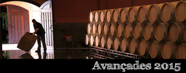 Toro 2015 per Marcos Eguren