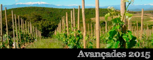 Languedoc Roussillon 2015 per Hervé Bizeul