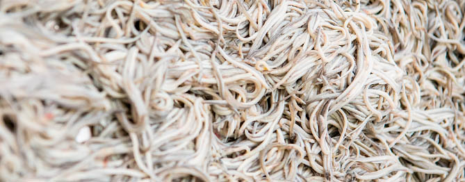 El millor del 2019. El mar. Grans moments a restaurants i cases de menjar (IV).