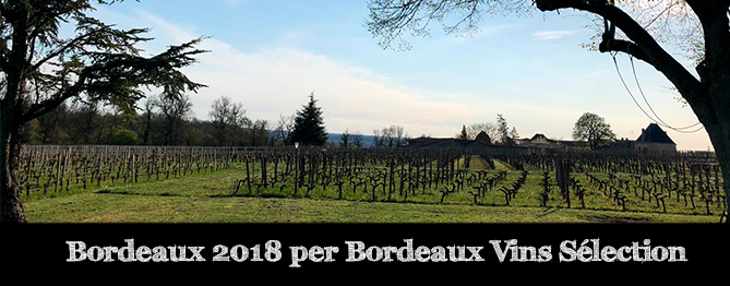 Bordeaux 2018 per Bordeaux Vins Sélection