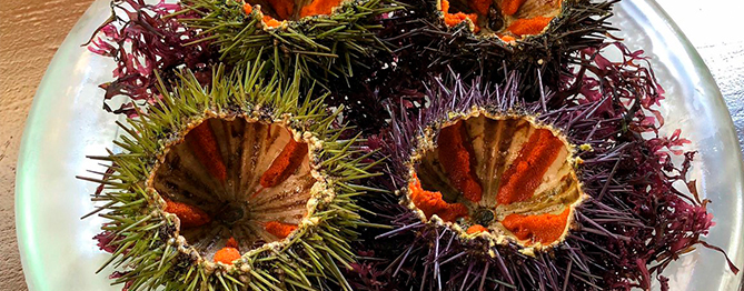 El millor del 2018. Del mar. Grans moments a restaurants i cases de menjar (III)